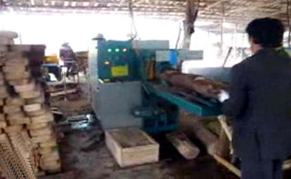 正啟機械斷料鋸圓木多片鋸方木多片鋸合輯