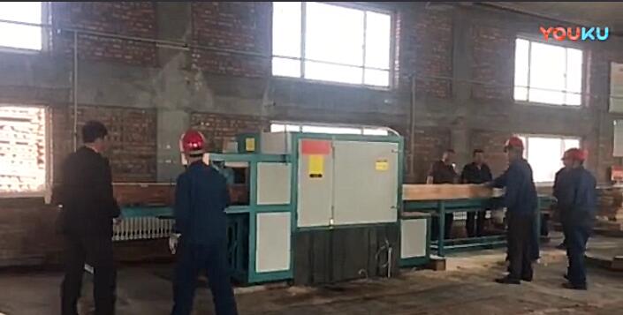 原木多片鋸工作視頻（圓木、方木一起加工）