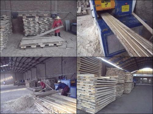 河北省-廊坊-圓木-方木多片鋸-加工現(xiàn)場