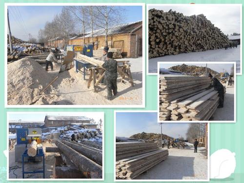 產(chǎn)品名稱:黑龍江伊春新青區(qū)-鋸洛葉松-350原木多片鋸-加工現(xiàn)場