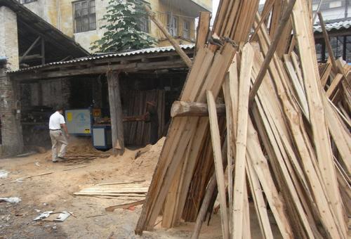 圓木多片鋸-韶關樂昌城200圓木加工現場