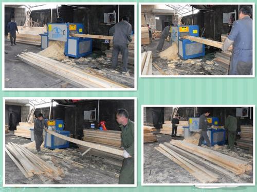 浙江-上海-鋸方木高150原木多片鋸-加工現(xiàn)場